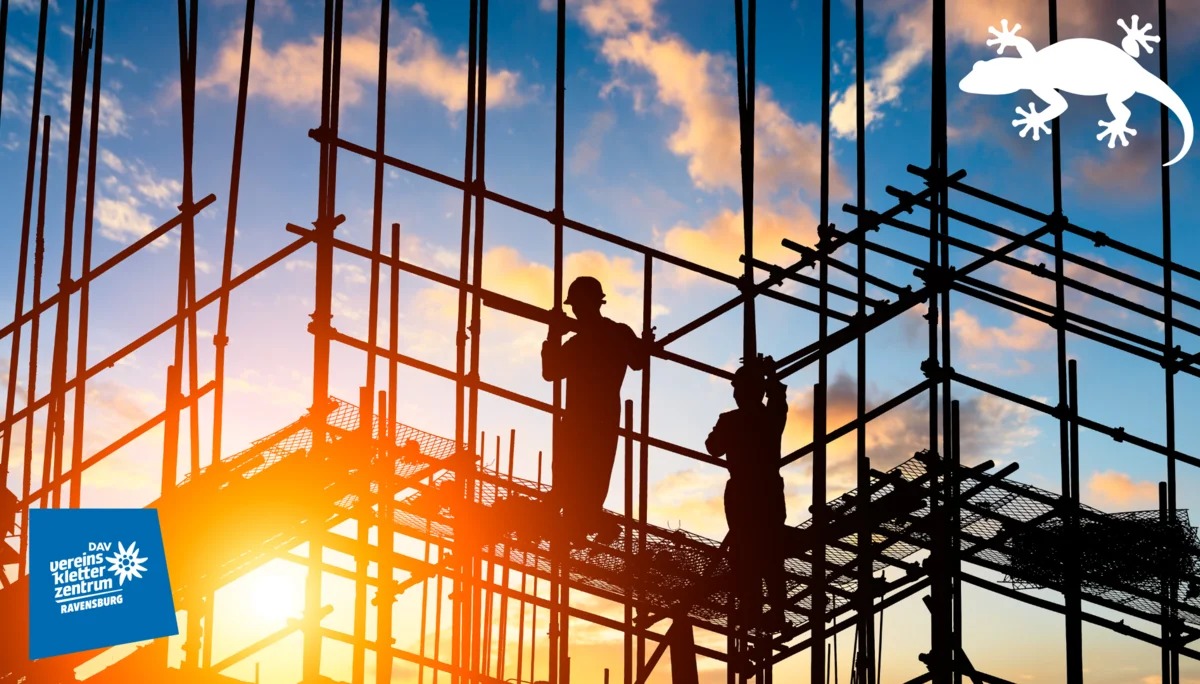 Amphibienzaun schützt Zauneidechsen | © Copyright Marc Schmidt