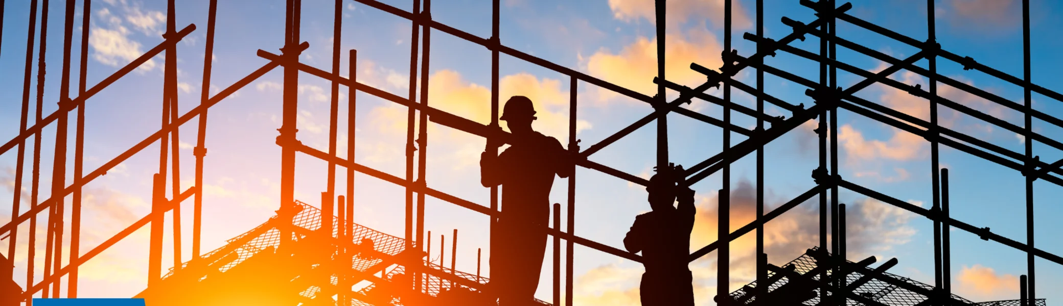 Amphibienzaun schützt Zauneidechsen | © Copyright Marc Schmidt