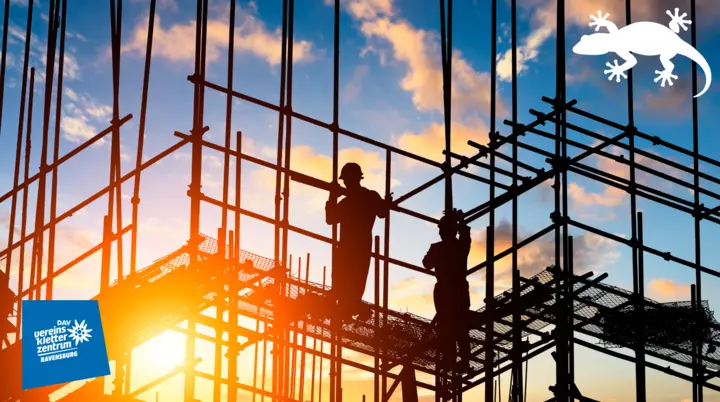 Amphibienzaun schützt Zauneidechsen | © Copyright Marc Schmidt